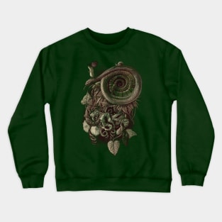 Descent Crewneck Sweatshirt